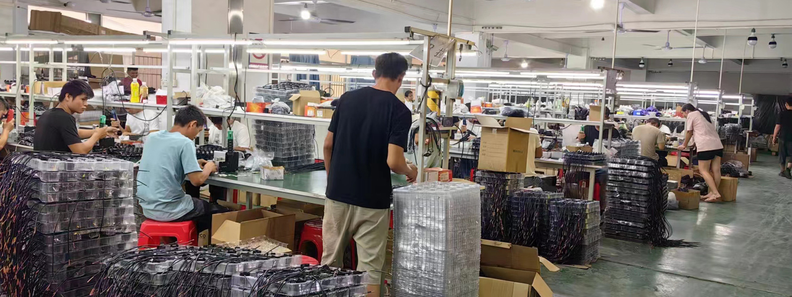 Guangzhou Baobao Lighting Co., Ltd. প্রস্তুতকারকের উৎপাদন লাইন